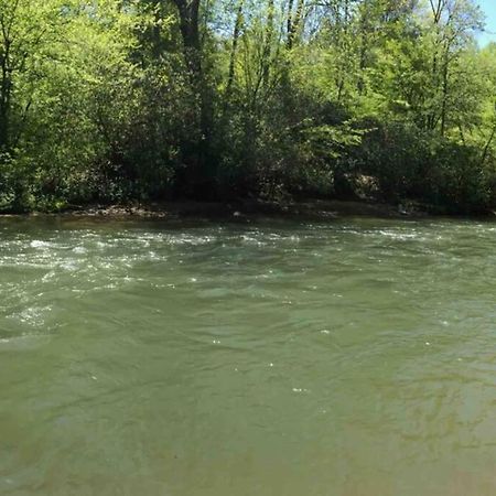 Cabin Fever On Cartecay River Ellijay Extérieur photo