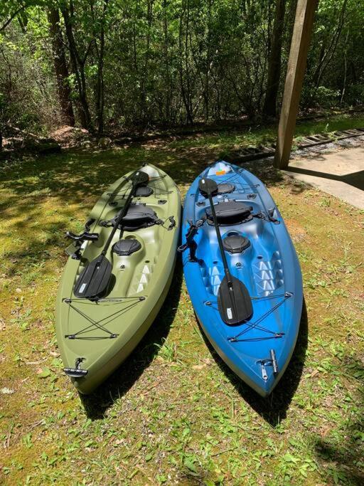 Cabin Fever On Cartecay River Ellijay Extérieur photo