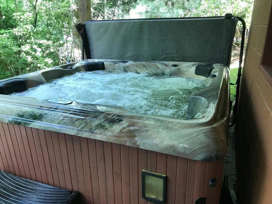 Cabin Fever On Cartecay River Ellijay Extérieur photo