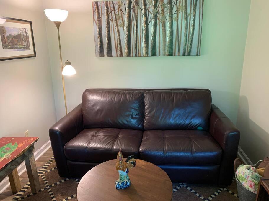 Cabin Fever On Cartecay River Ellijay Extérieur photo