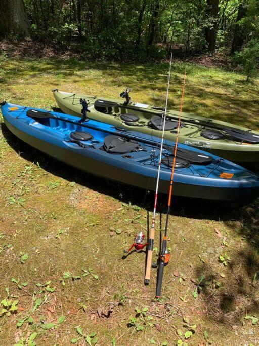 Cabin Fever On Cartecay River Ellijay Extérieur photo