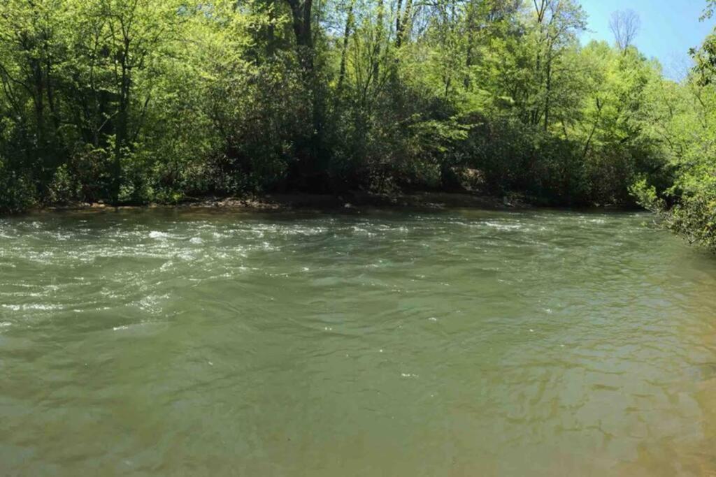 Cabin Fever On Cartecay River Ellijay Extérieur photo