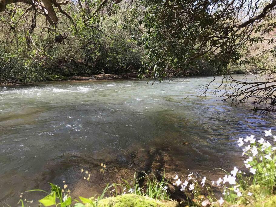 Cabin Fever On Cartecay River Ellijay Extérieur photo