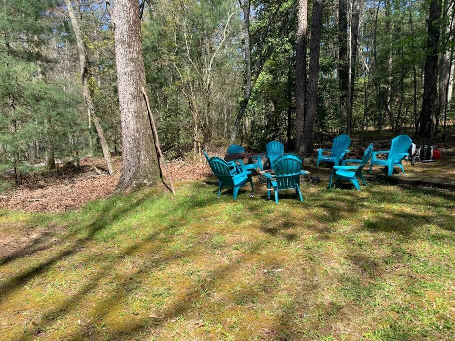 Cabin Fever On Cartecay River Ellijay Extérieur photo