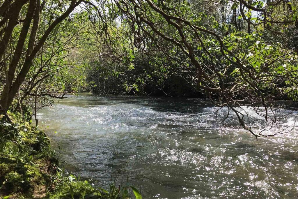 Cabin Fever On Cartecay River Ellijay Extérieur photo
