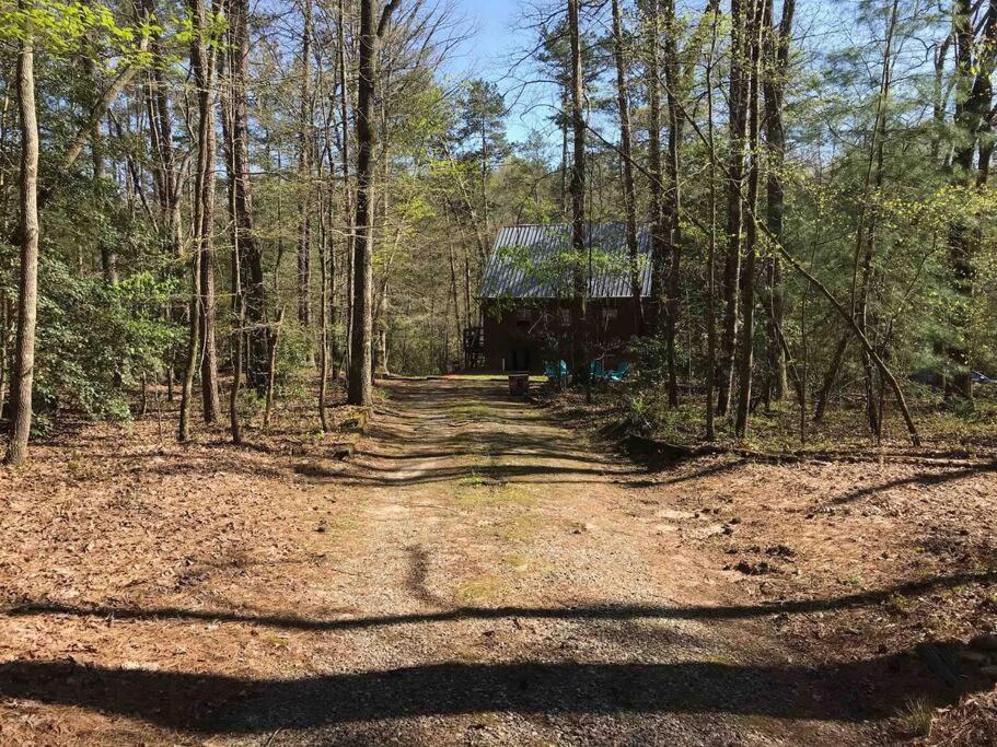Cabin Fever On Cartecay River Ellijay Extérieur photo